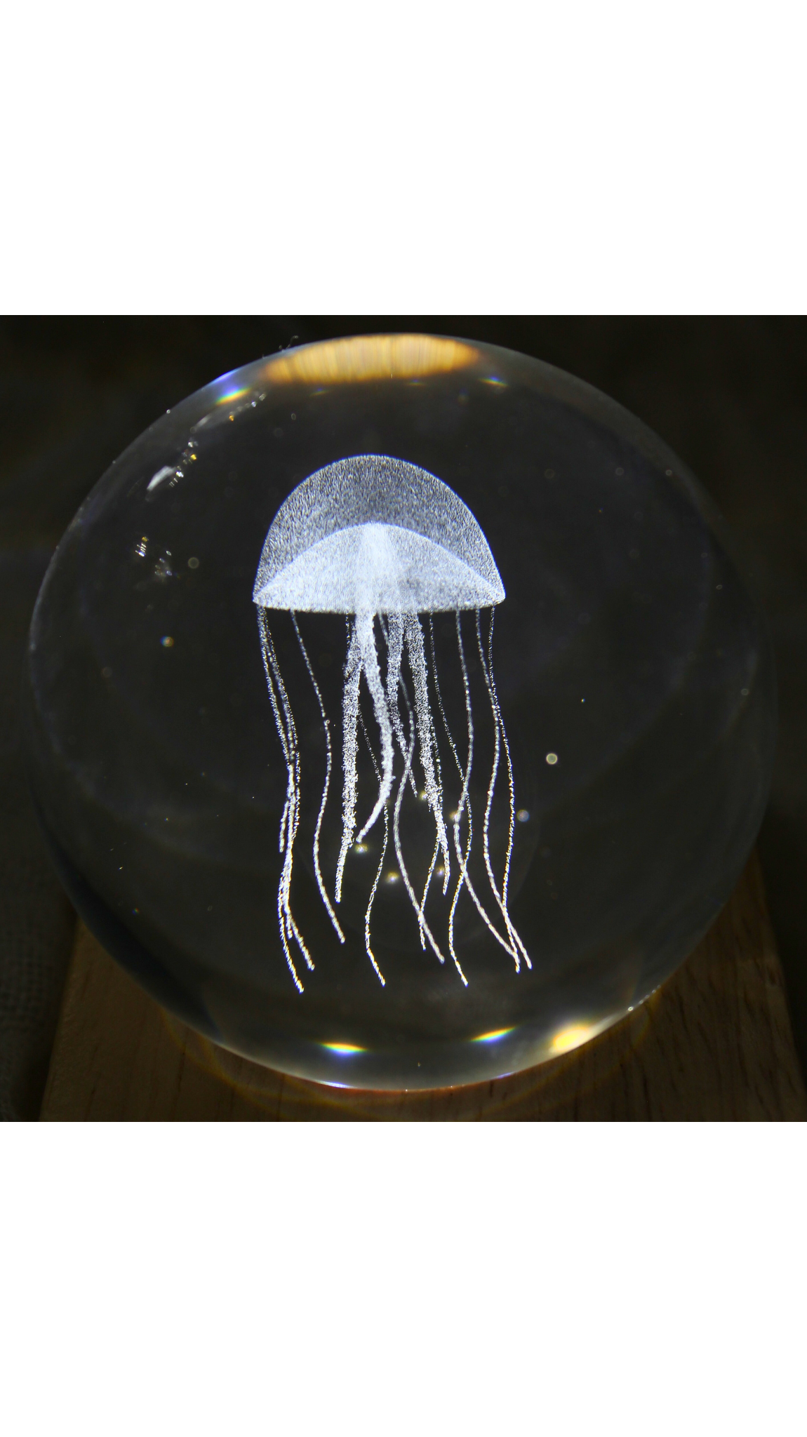 JellyFish LED Table Lamp