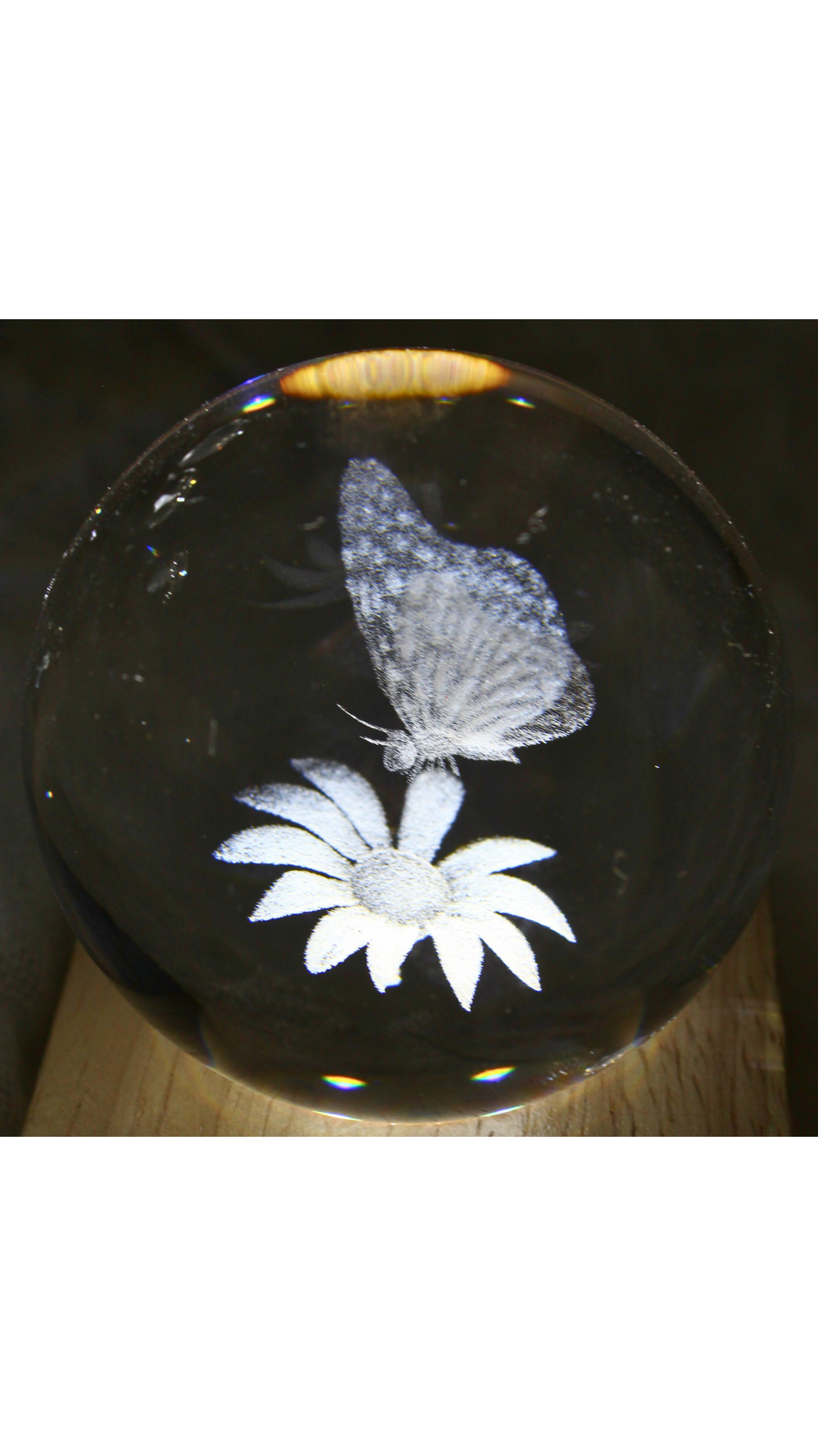 Desy LED Table Lamp