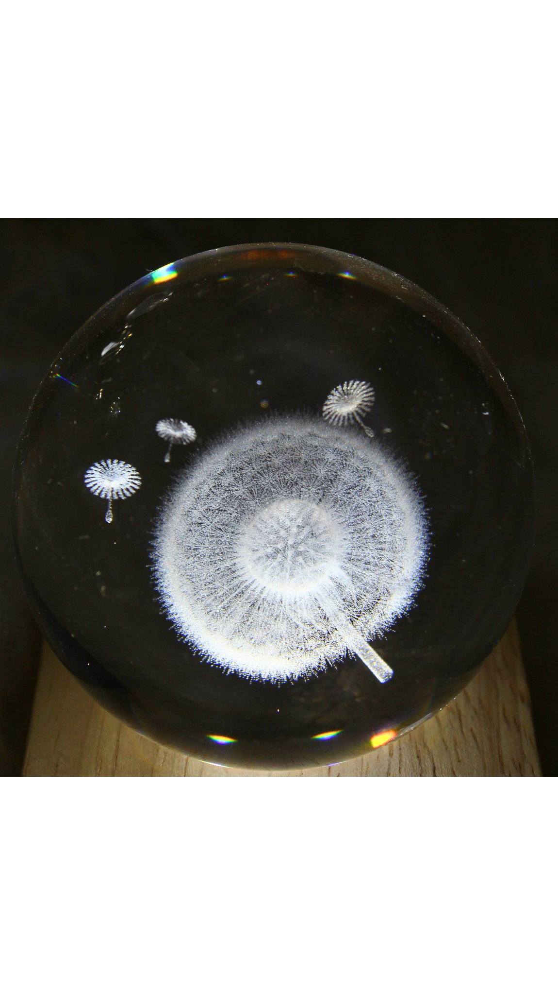 Dandelion LED Table Lamp