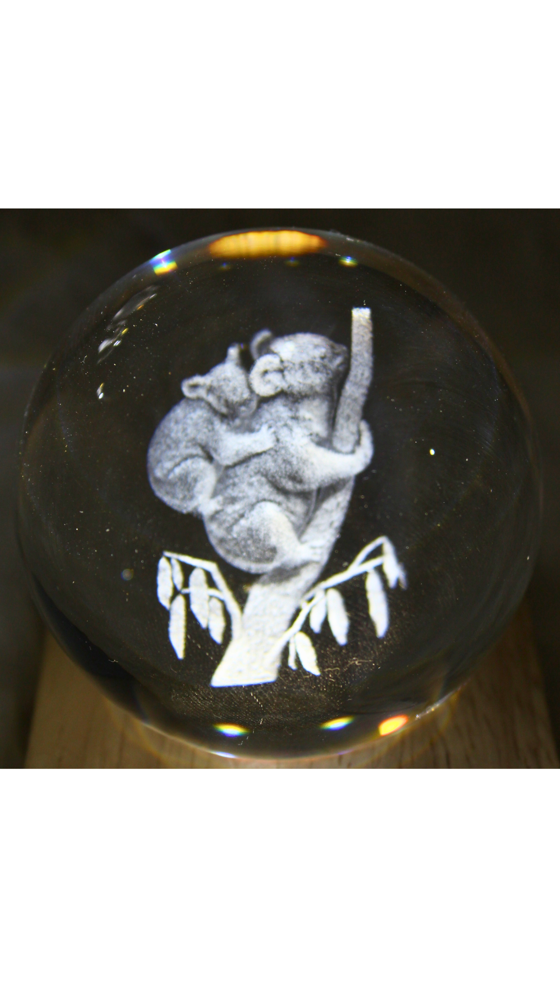 Koala LED Table Lamp