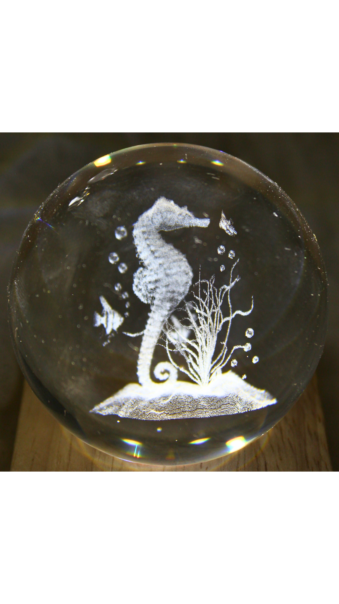 Seahorse LED Table Lamp