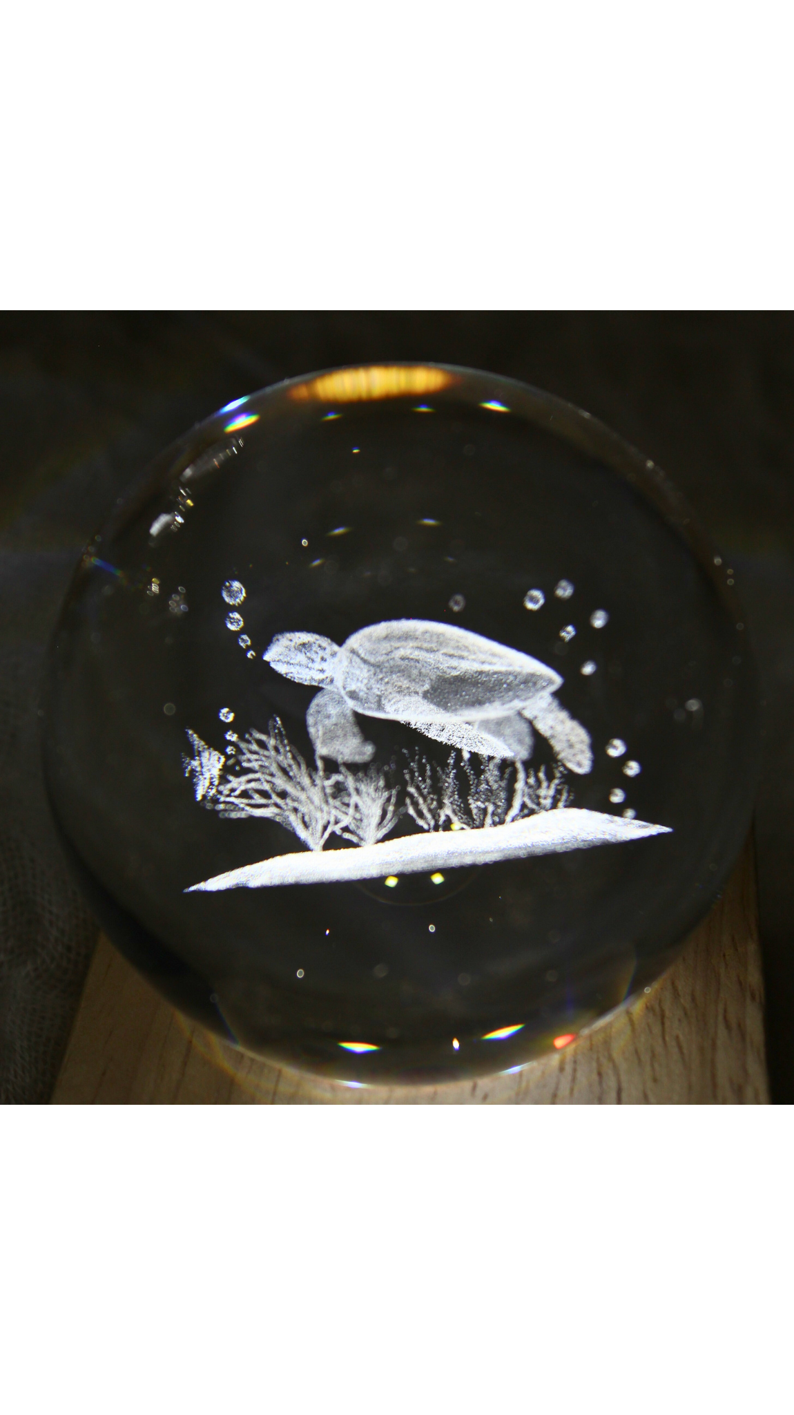 Seaturtle LED Table Lamp