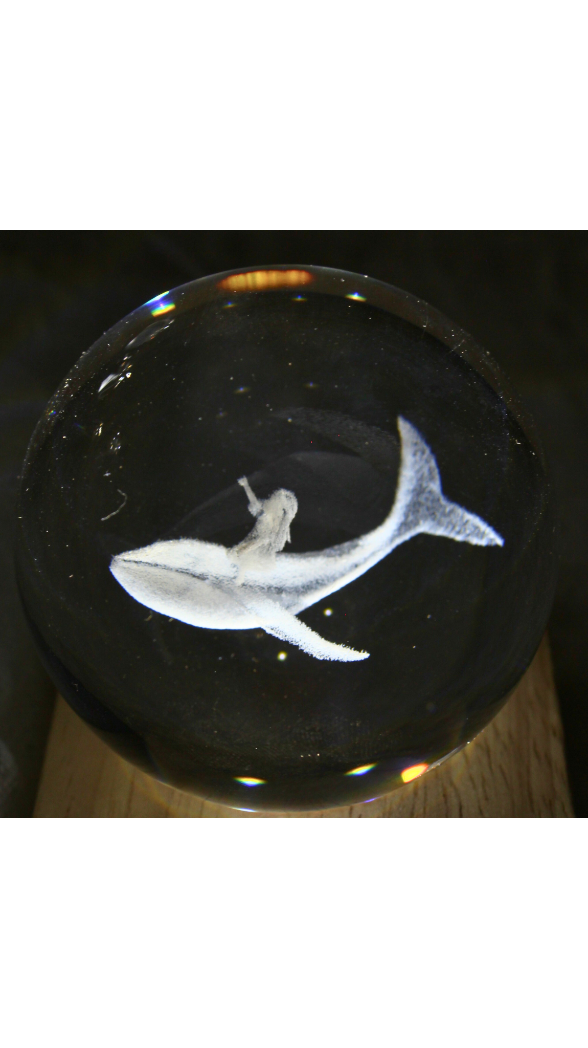Whale  LED Table Lamp